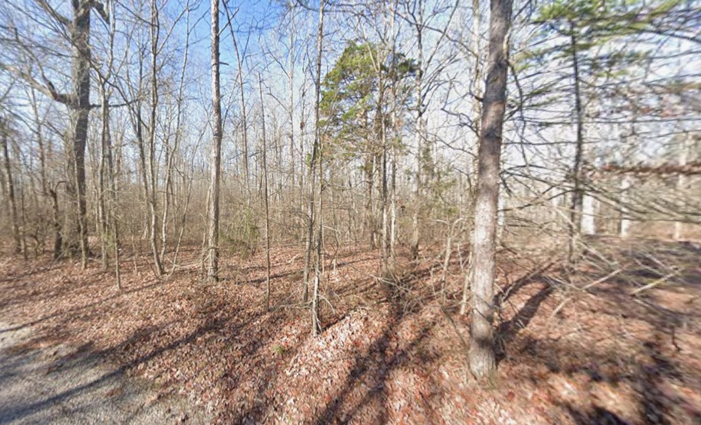 0 Webb Way Savannah, TN 38372 - Photo 3 of 9 a view of forest
