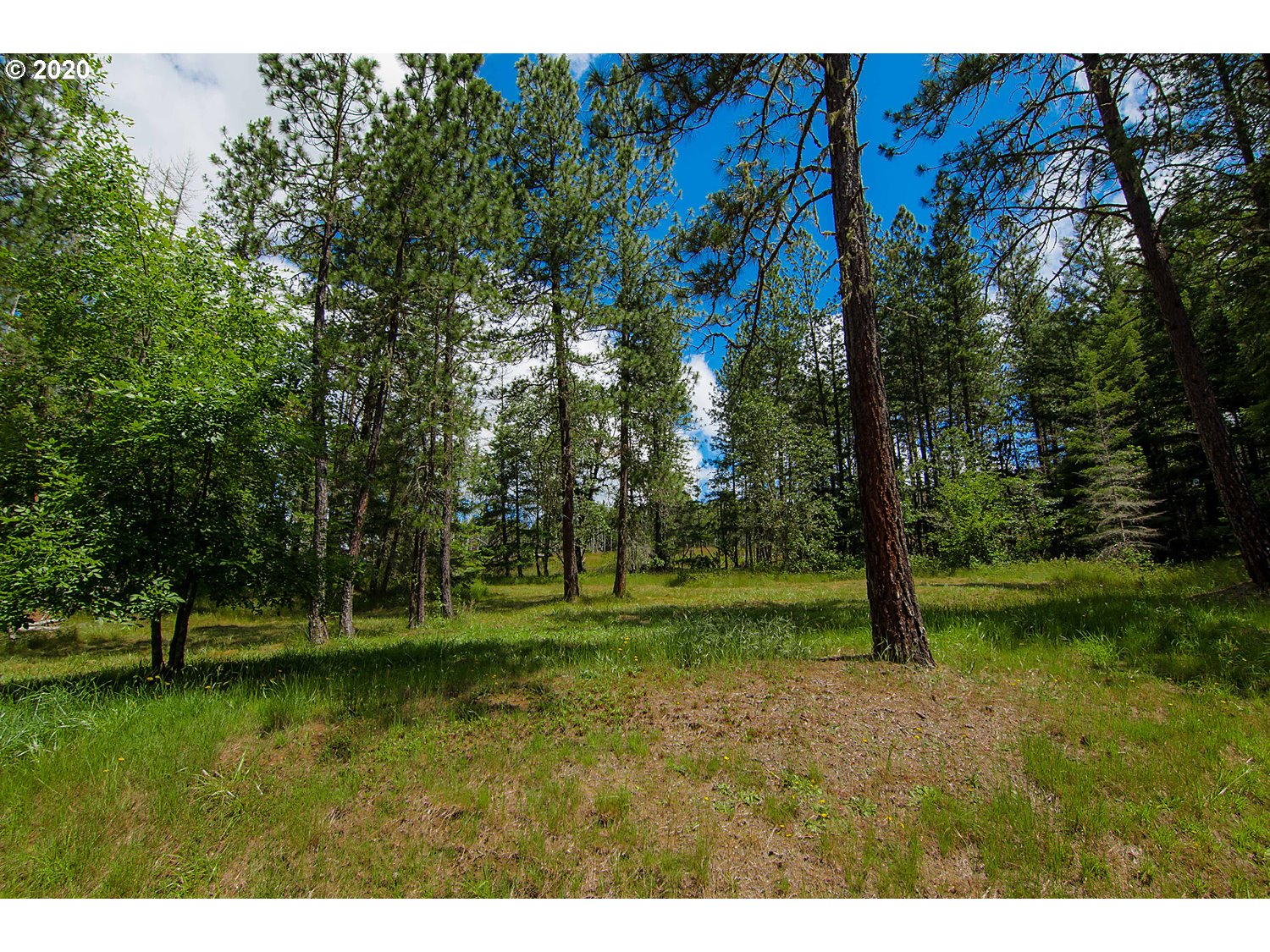 1385 Cleveland Loop Road Roseburg, OR 97471 - Photo 27 of 32 Gallery Image 27