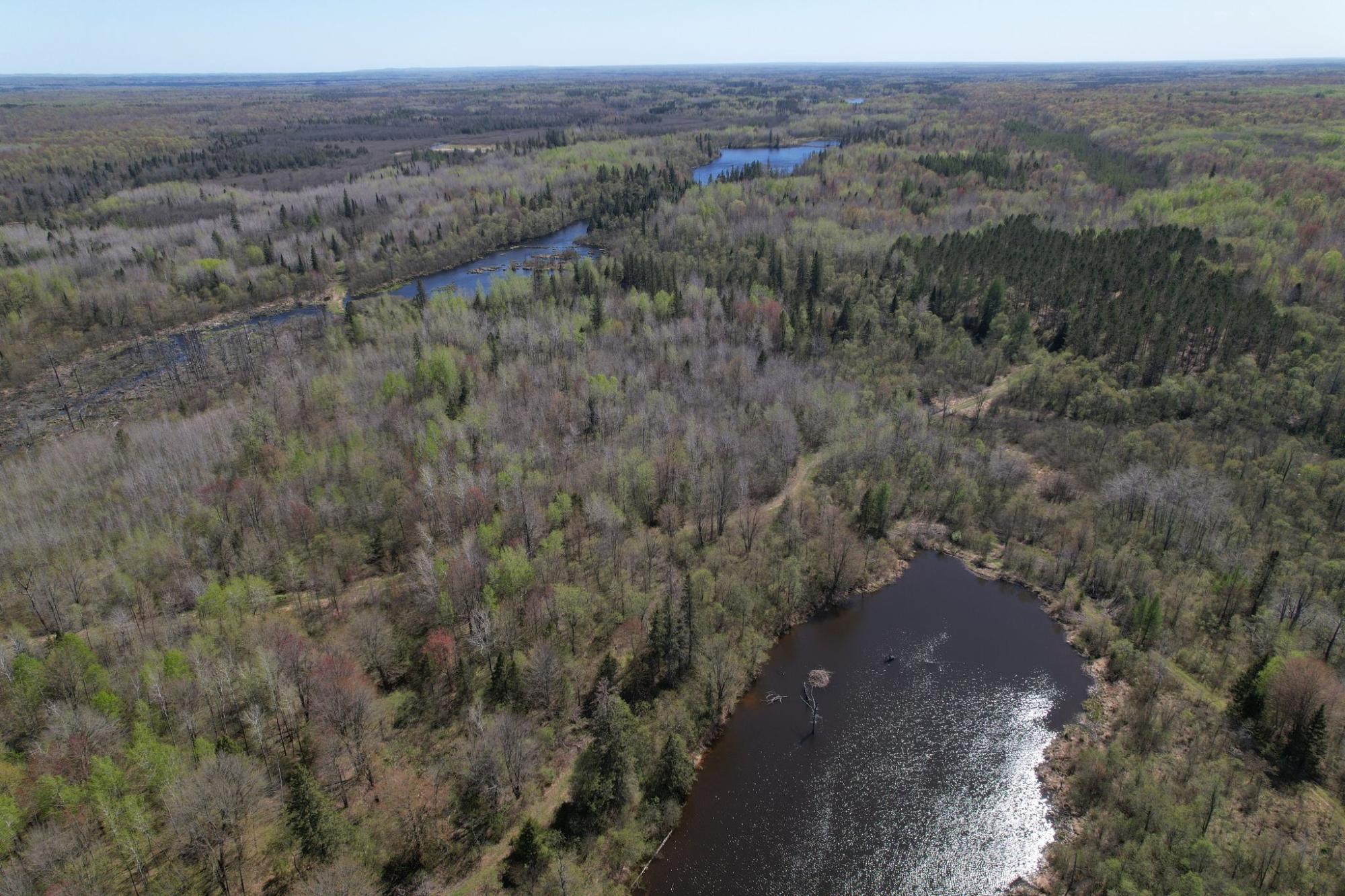 Off Hay Creek Road, Unit 820ACRES Prentice, WI 54556 - Photo 18 of 43 Gallery Image 18