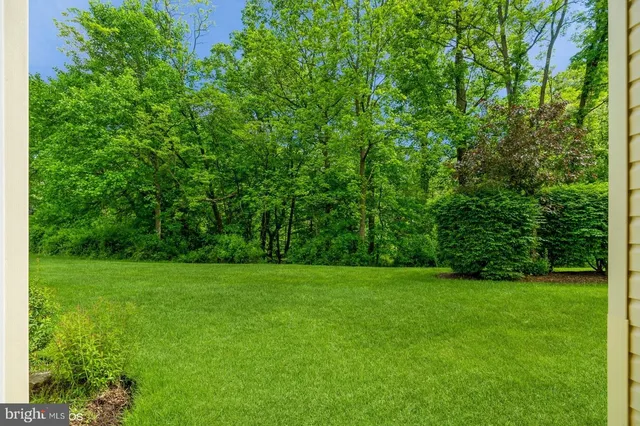 a view of a grassy field with trees in the background