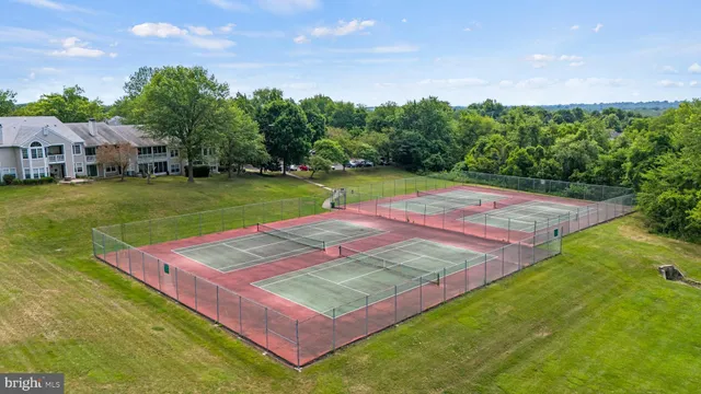 a view of a backyard with a garden and entertaining space