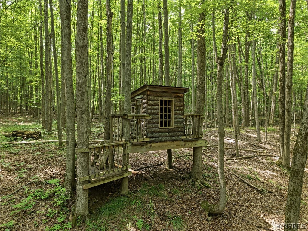 8770 Barber Road, Unit B Rushford, NY 14717 - Photo 26 of 37 treehouse