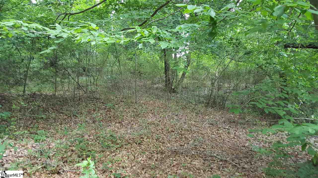 199 Heath Hill Road Duncan, SC 29334 - Photo 5 of 7