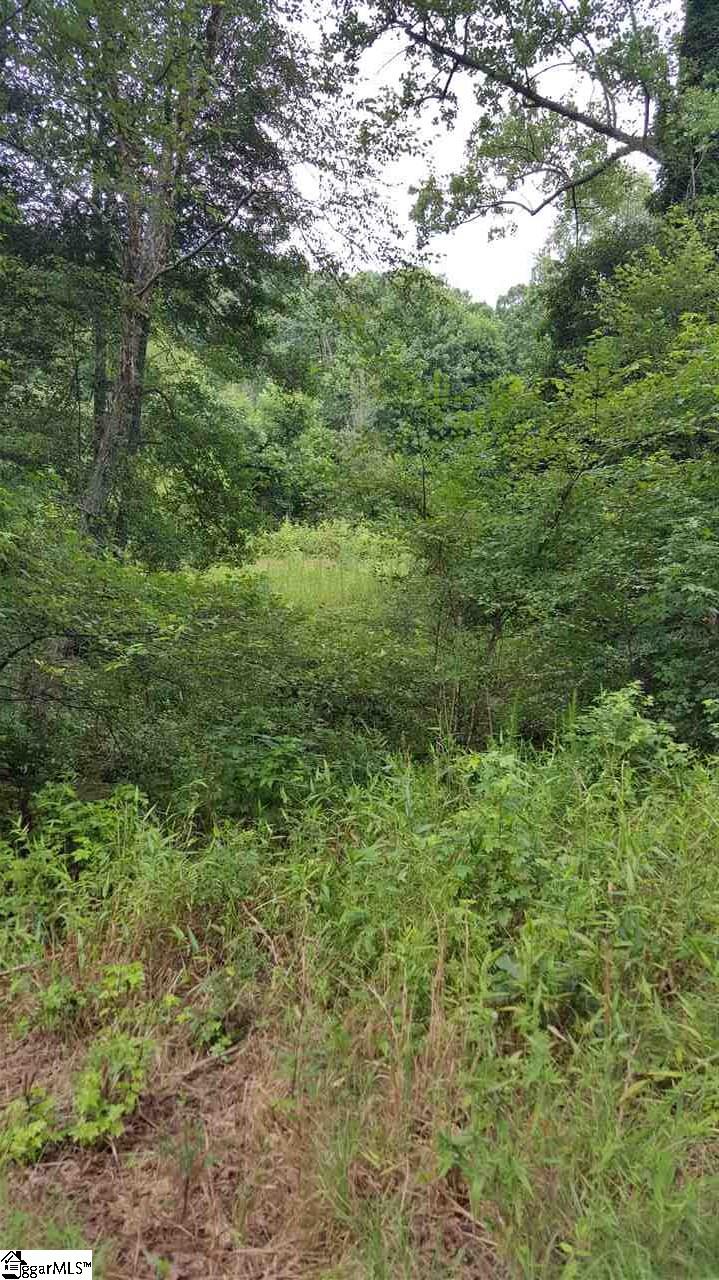 199 Heath Hill Road Duncan, SC 29334 - Photo 6 of 7