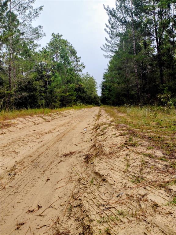 171 7th Way Interlachen, FL 32148 - Photo 3 of 8