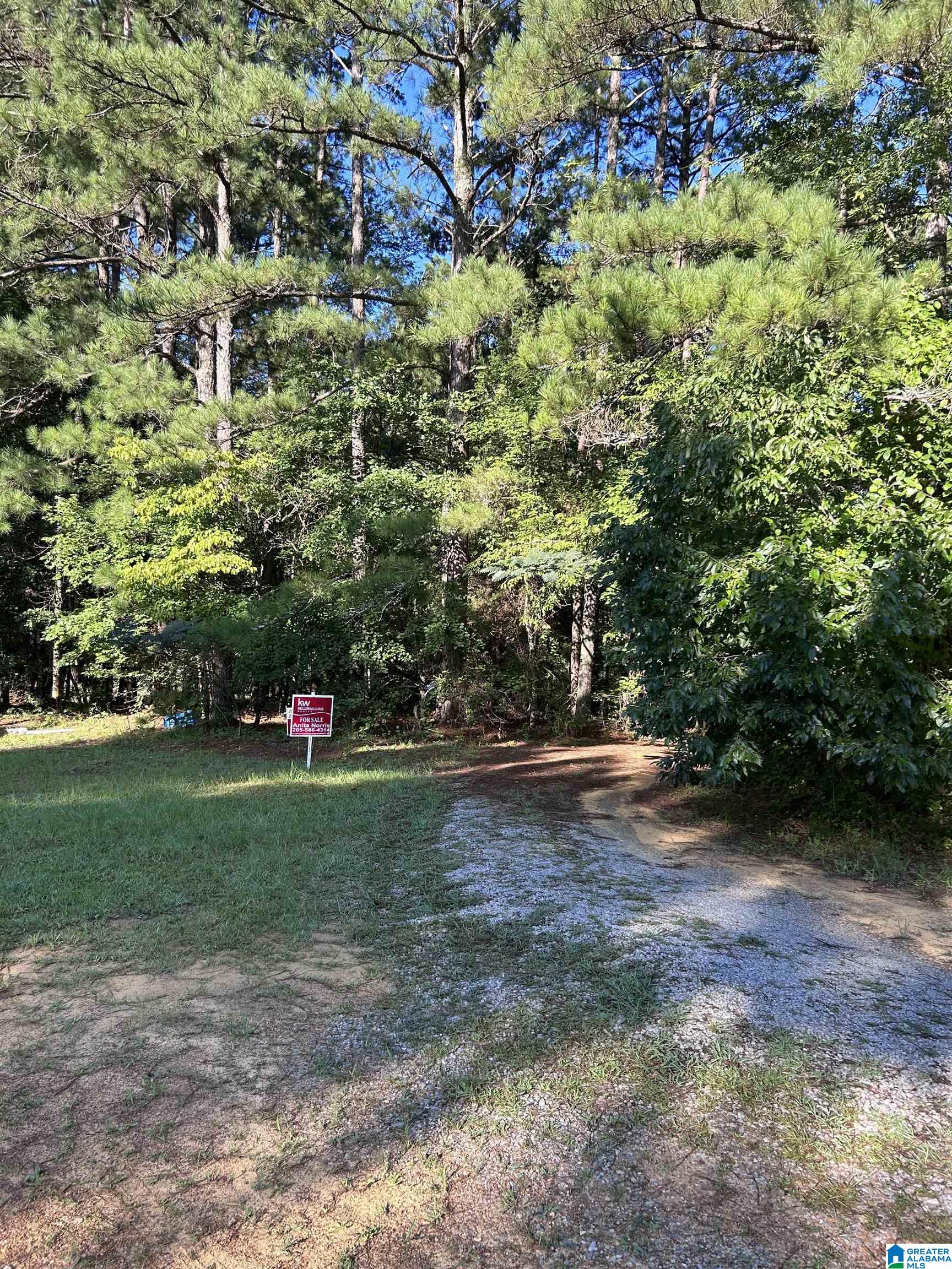 9672 Silley Dean Road, Unit MOORES SUBDIVISION Pinson, AL 35126 - Photo 1 of 8
