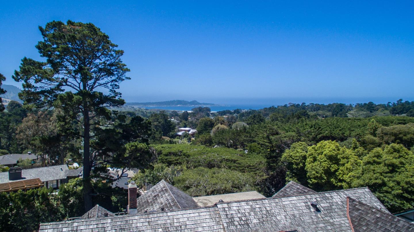 a view of a city with lush green forest