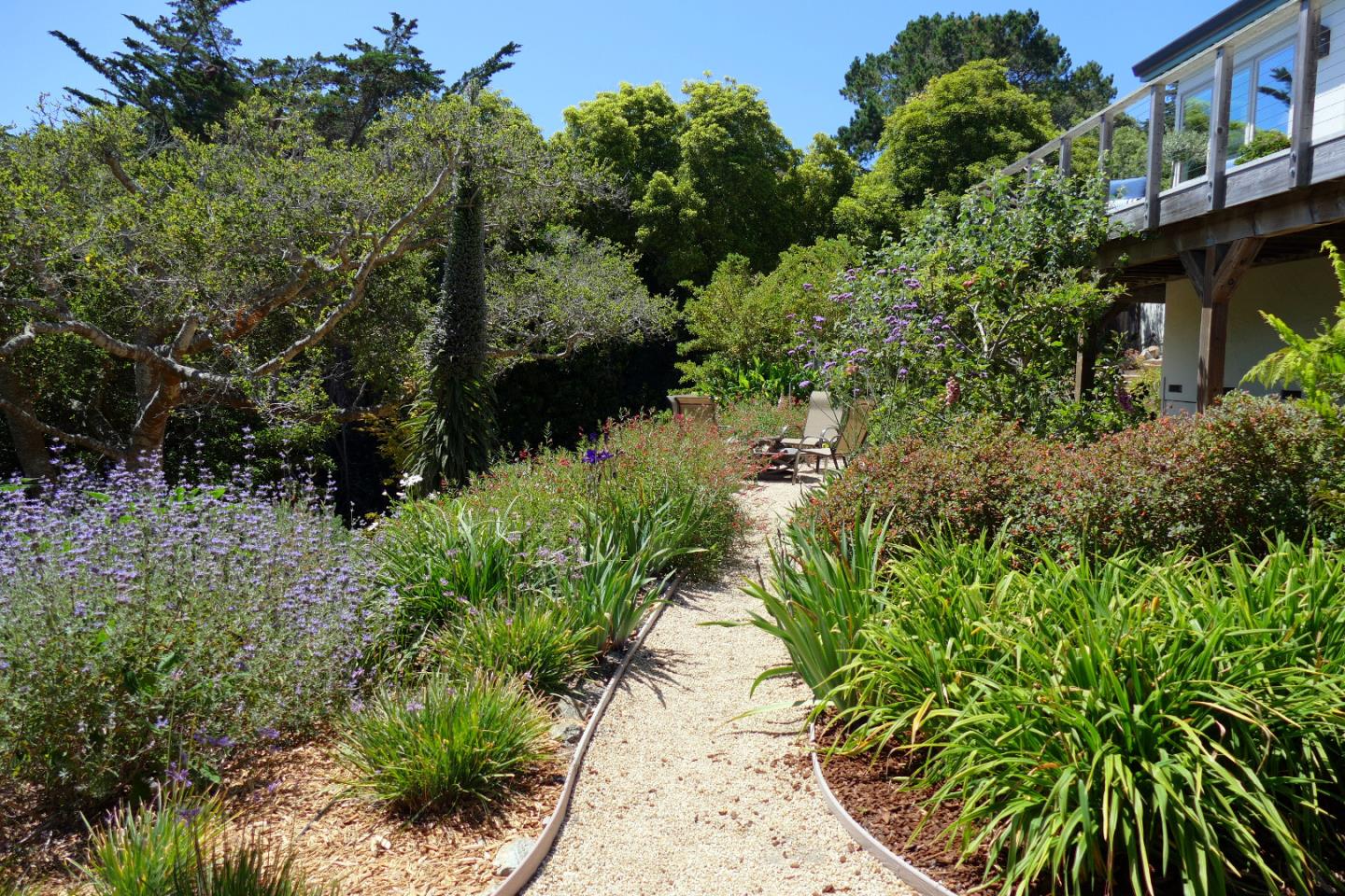 25840 Hatton Road Carmel, CA 93923 - Photo 38 of 43 an aerial view of a house with a yard