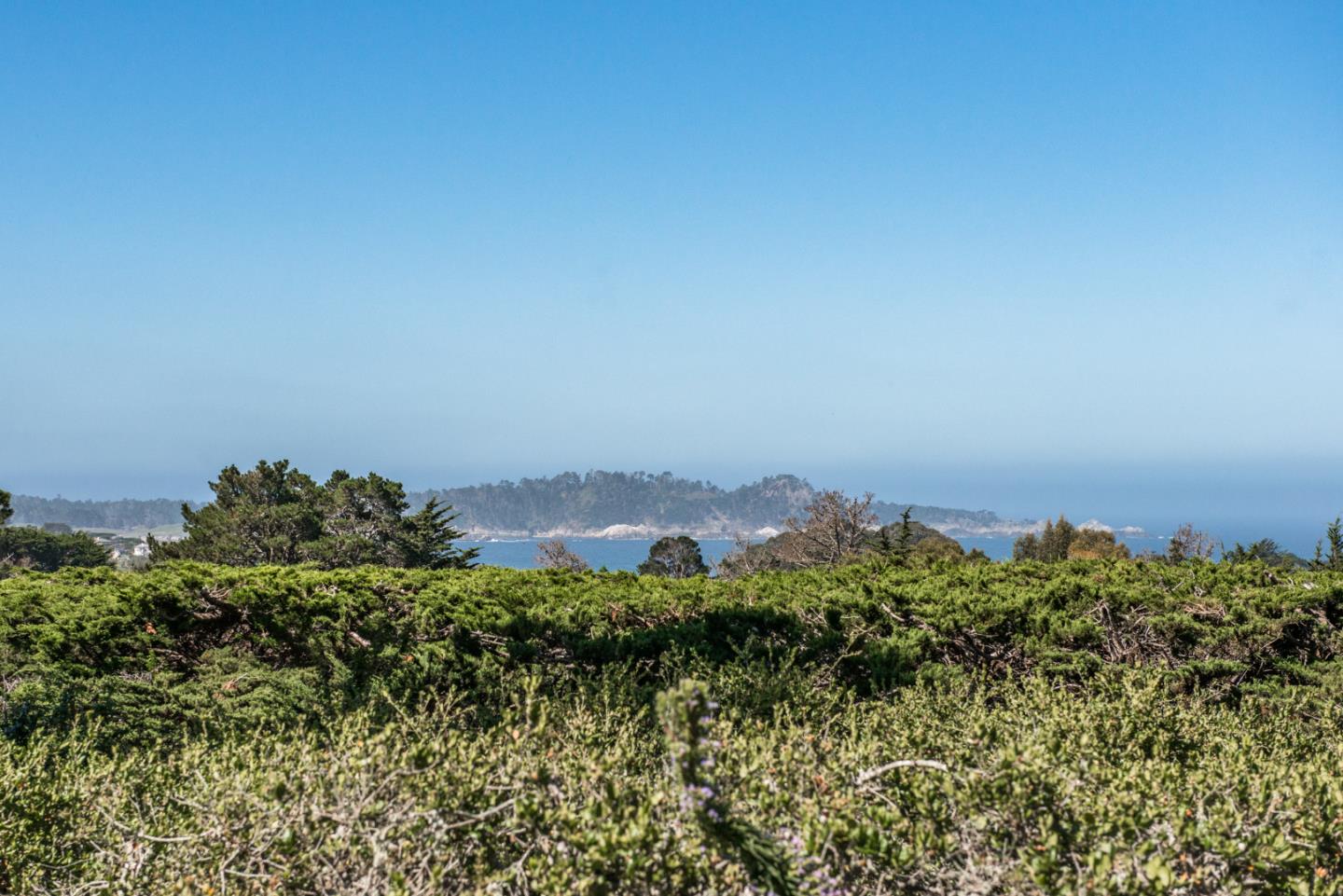 25840 Hatton Road Carmel, CA 93923 - Photo 7 of 43 an aerial view of a house with a yard