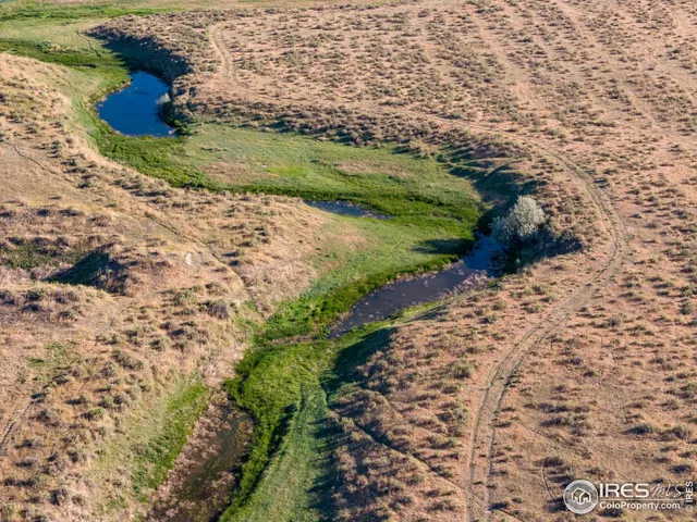 a view of a yard with pathway
