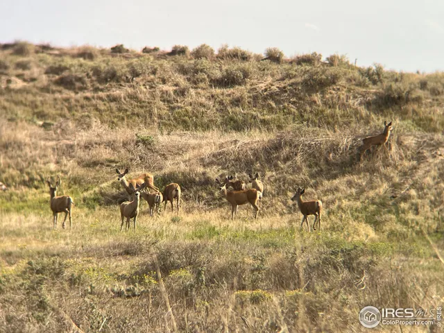 a view of background and yard
