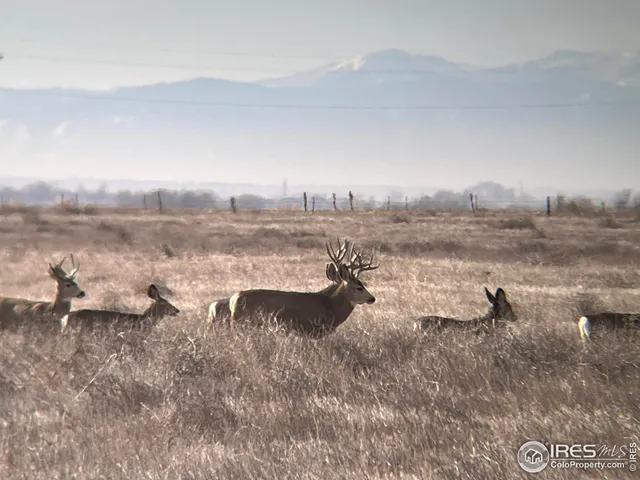 a view of beach and ocean
