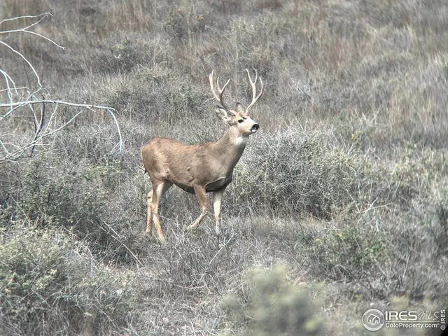 a view of a lake with houses in the back