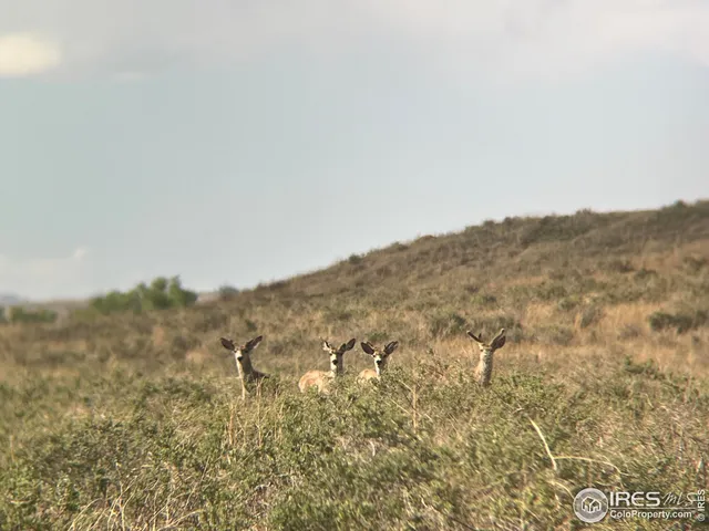 a view of lake and mountain