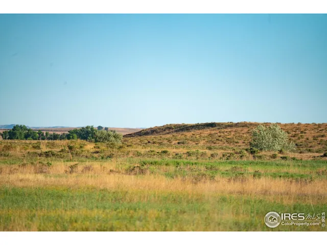 a view of a lush green space