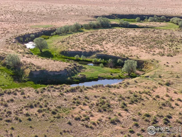 a view of a lake with beach and large trees