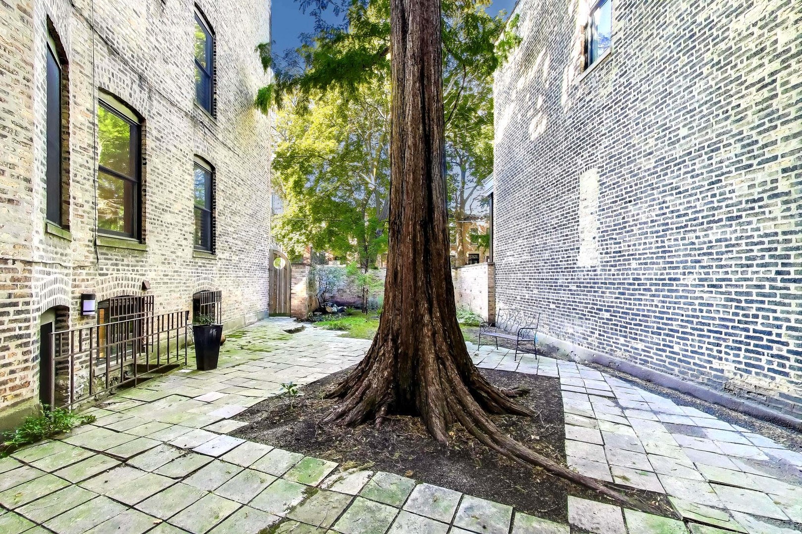 907-909 West Webster Avenue Chicago, IL 60614 - Photo 7 of 71