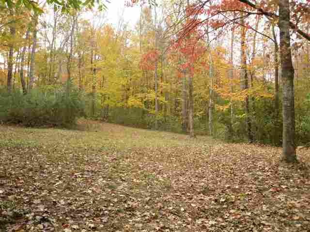 0 Springfield Drive Athens, TN 37303 - Photo 1 of 1