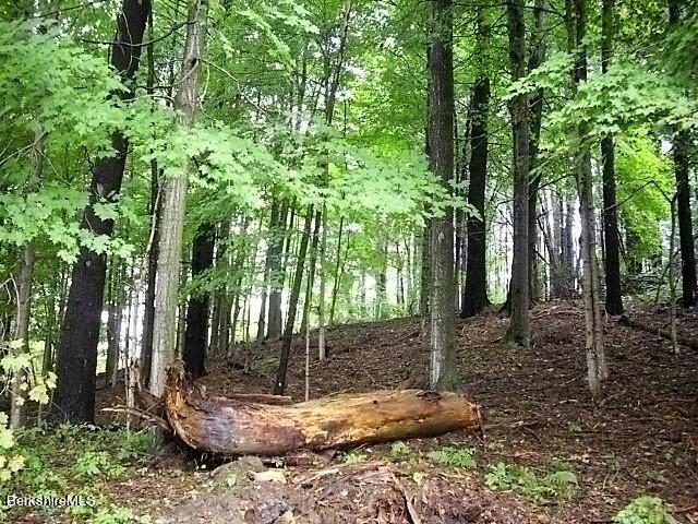 East Street Lee, MA 01238 - Photo 2 of 7 a backyard of a house with lots of green space