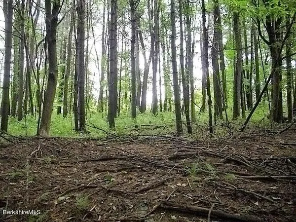 a view of outdoor space and green space