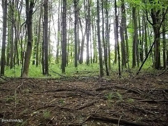 a view of outdoor space and green space