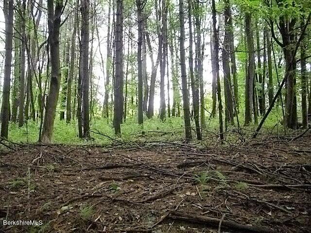 East Street Lee, MA 01238 - Photo 3 of 7 a view of outdoor space and green space