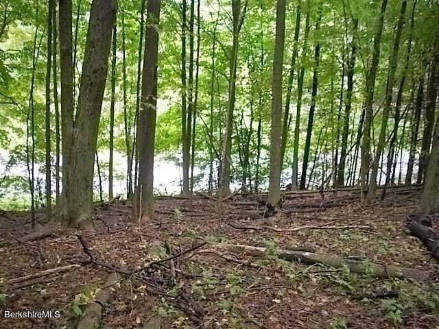 East Street Lee, MA 01238 - Photo 4 of 7 a view of a forest with trees in the background