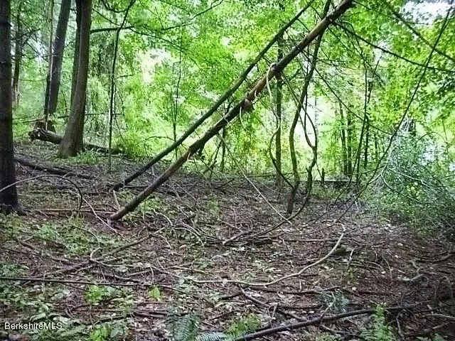 a backyard of a house with lots of trees