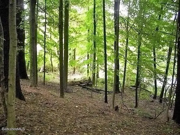 a view of outdoor space with lots of trees