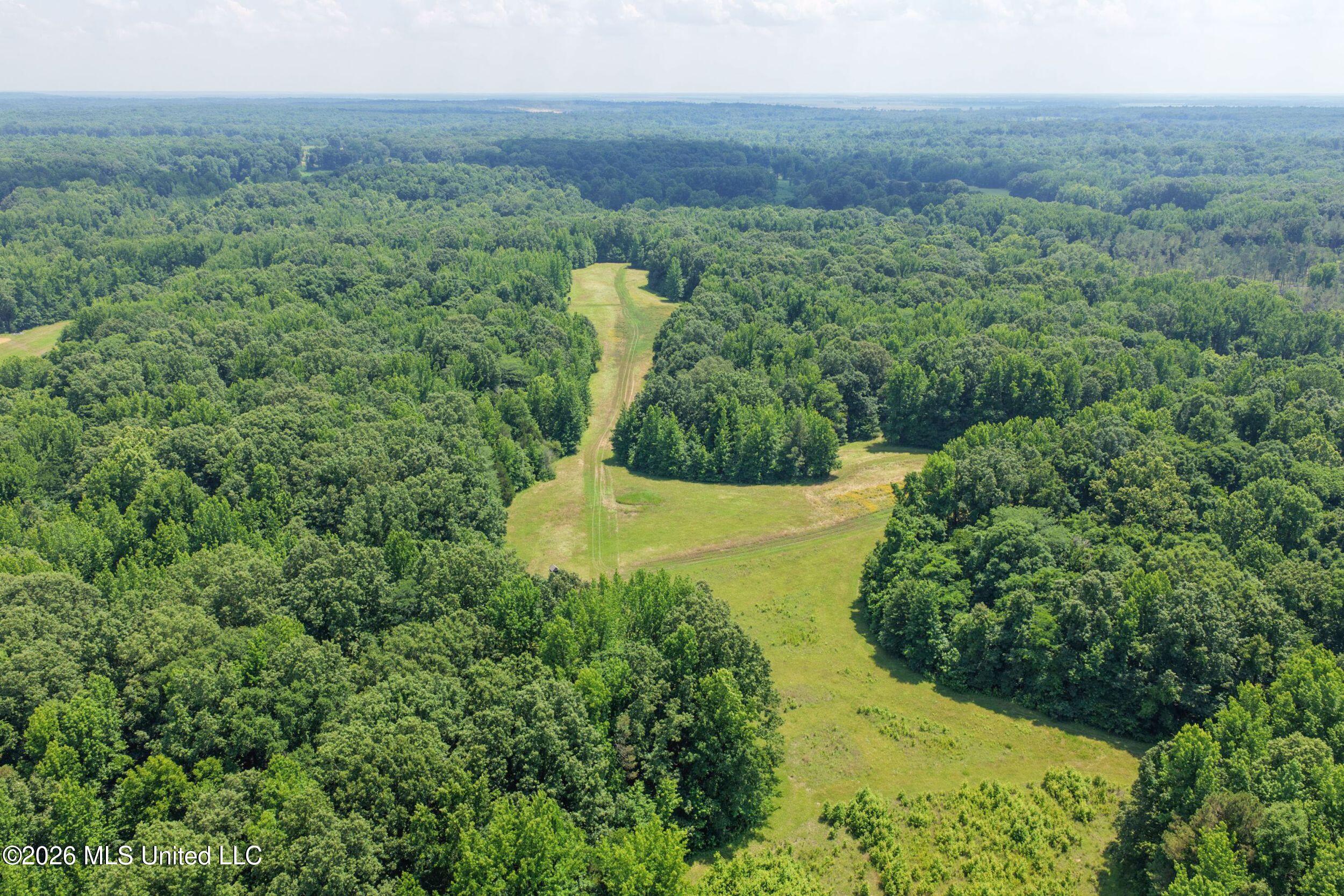 884 Avant Road Crenshaw, MS 38621 - Photo 48 of 154 4dbyicr49