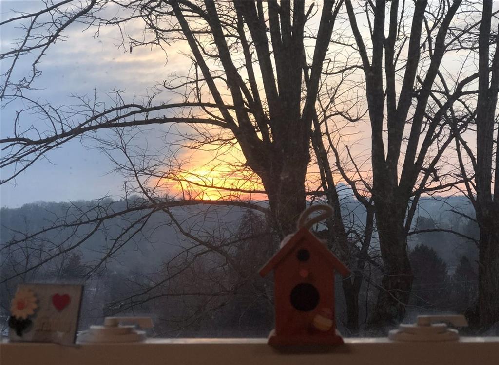 1213 Corrin Avenue Monongahela, PA 15063 - Photo 12 of 41 a view of outdoor space and a yard