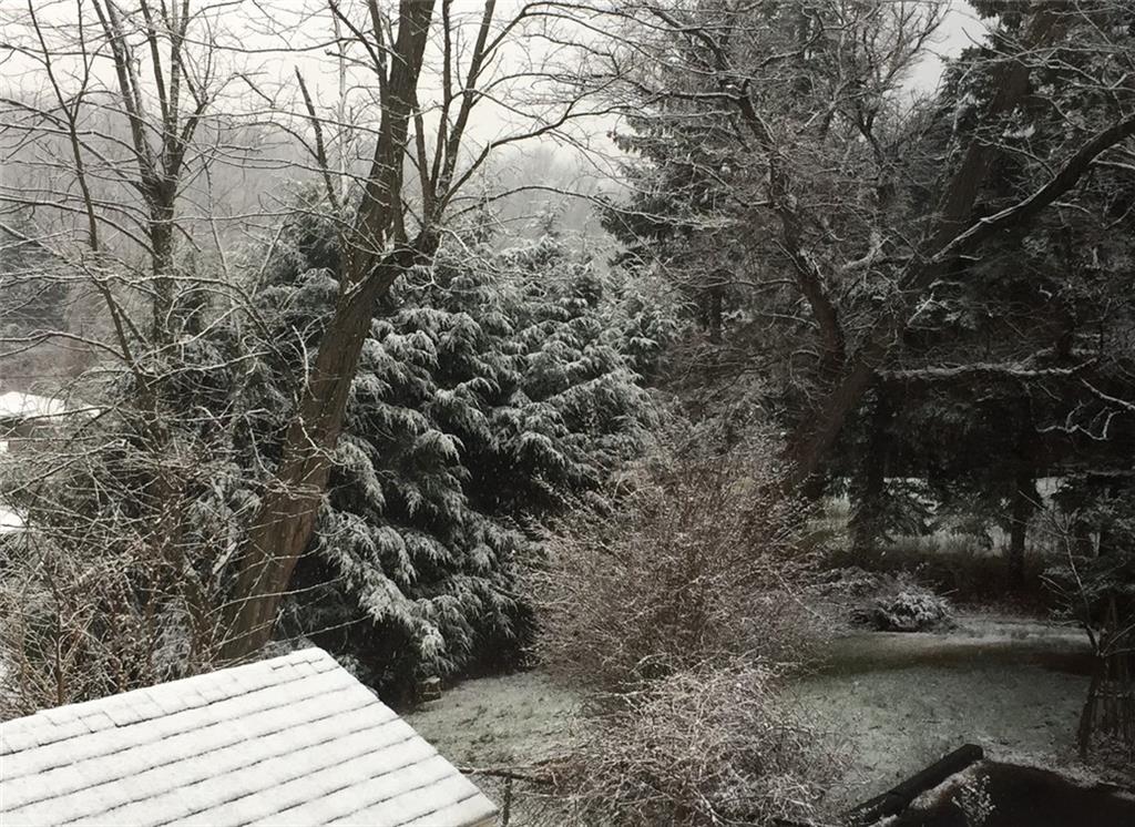 1213 Corrin Avenue Monongahela, PA 15063 - Photo 30 of 41 a view of a backyard of a house