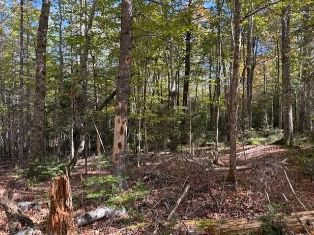 $39,900 | Lot 21 Marion Sta Road, Dennysville, ME 04628