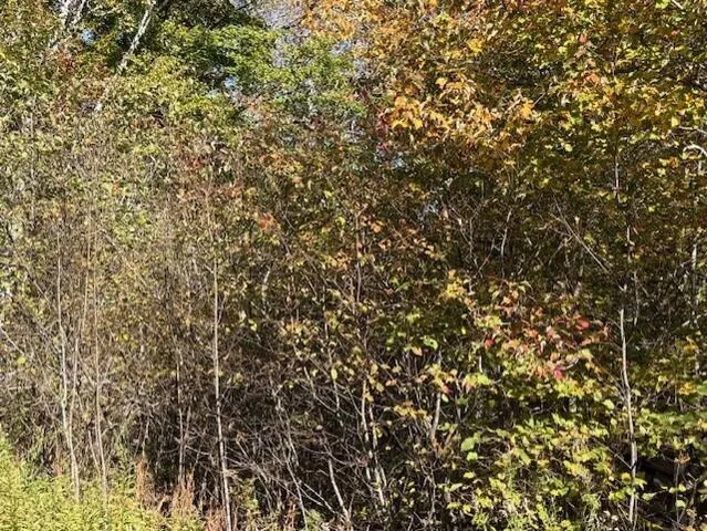 $39,900 | Lot 21 Marion Sta Road, Dennysville, ME 04628