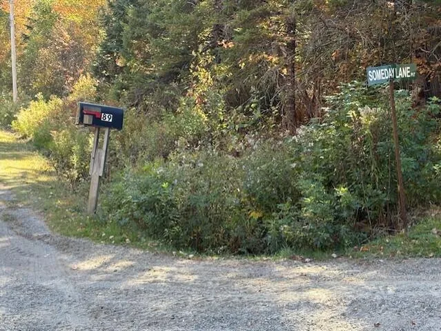 $39,900 | Lot 21 Marion Sta Road, Dennysville, ME 04628