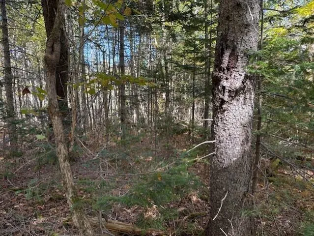 $39,900 | Lot 21 Marion Sta Road, Dennysville, ME 04628