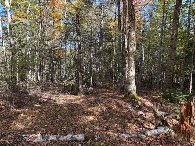 $39,900 | Lot 21 Marion Sta Road, Dennysville, ME 04628