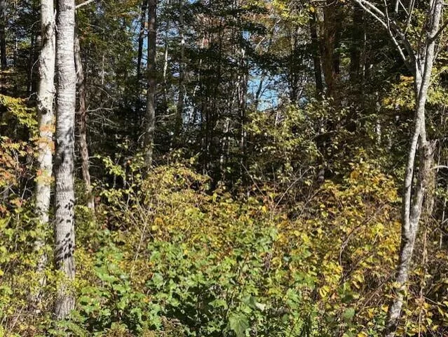 $39,900 | Lot 21 Marion Sta Road, Dennysville, ME 04628