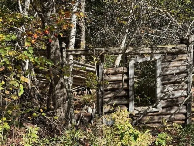 $39,900 | Lot 21 Marion Sta Road, Dennysville, ME 04628