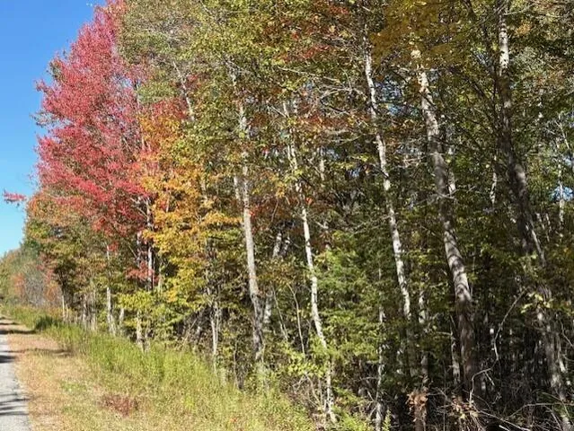 $39,900 | Lot 21 Marion Sta Road, Dennysville, ME 04628