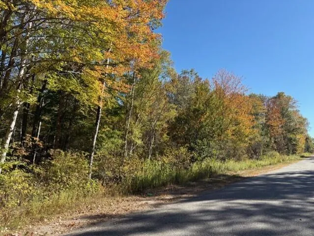 $39,900 | Lot 21 Marion Sta Road, Dennysville, ME 04628