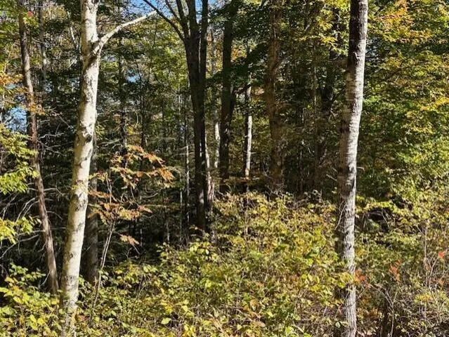 $39,900 | Lot 21 Marion Sta Road, Dennysville, ME 04628