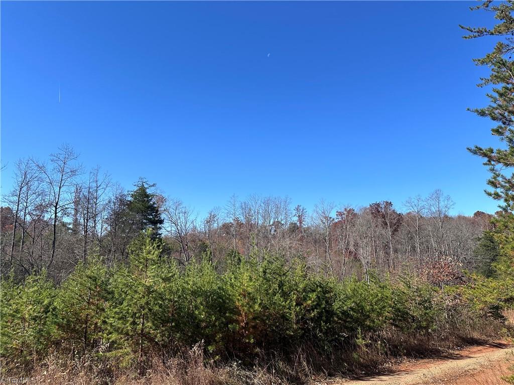 5 Stephens Trail Road Sandy Ridge, NC 27046 - Photo 3 of 3