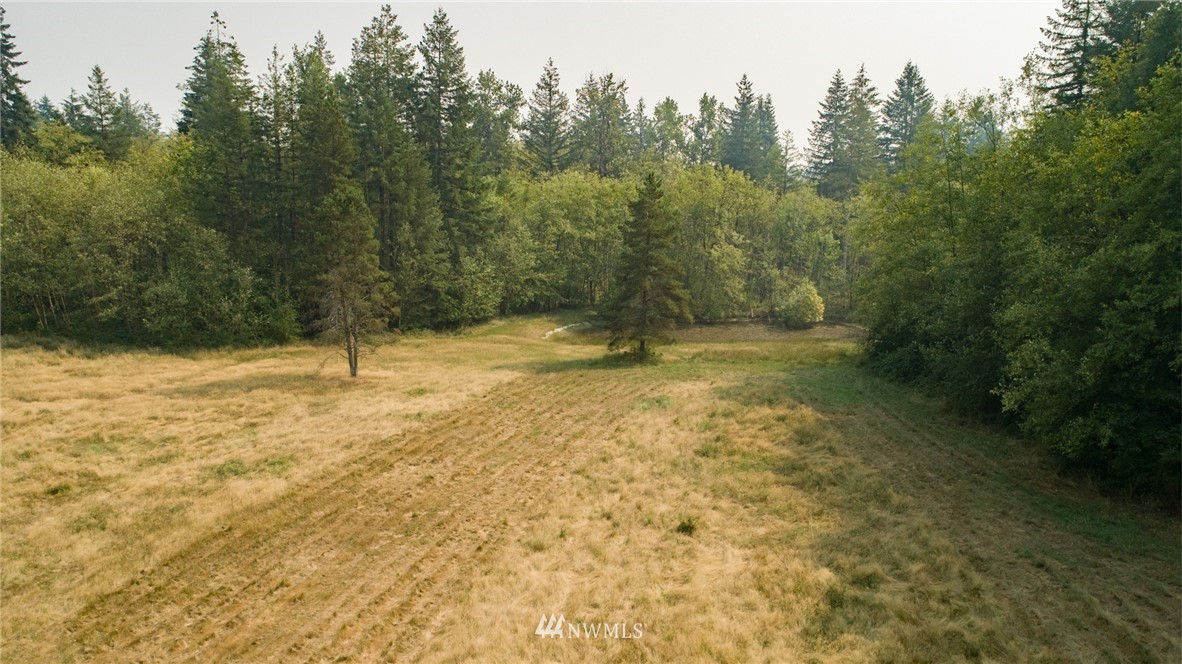 434 Dluhosh Road Onalaska, WA 98570 - Photo 22 of 25 Gallery Image 22