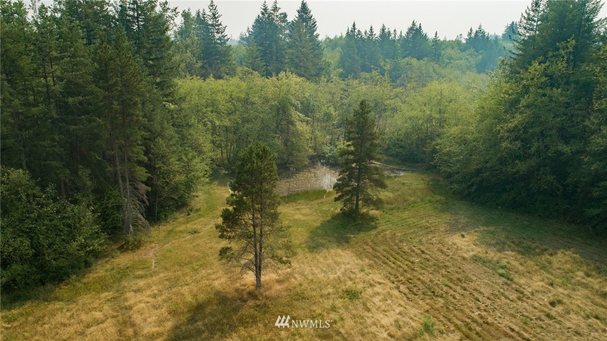 434 Dluhosh Road Onalaska, WA 98570 - Photo 23 of 25 Gallery Image 23