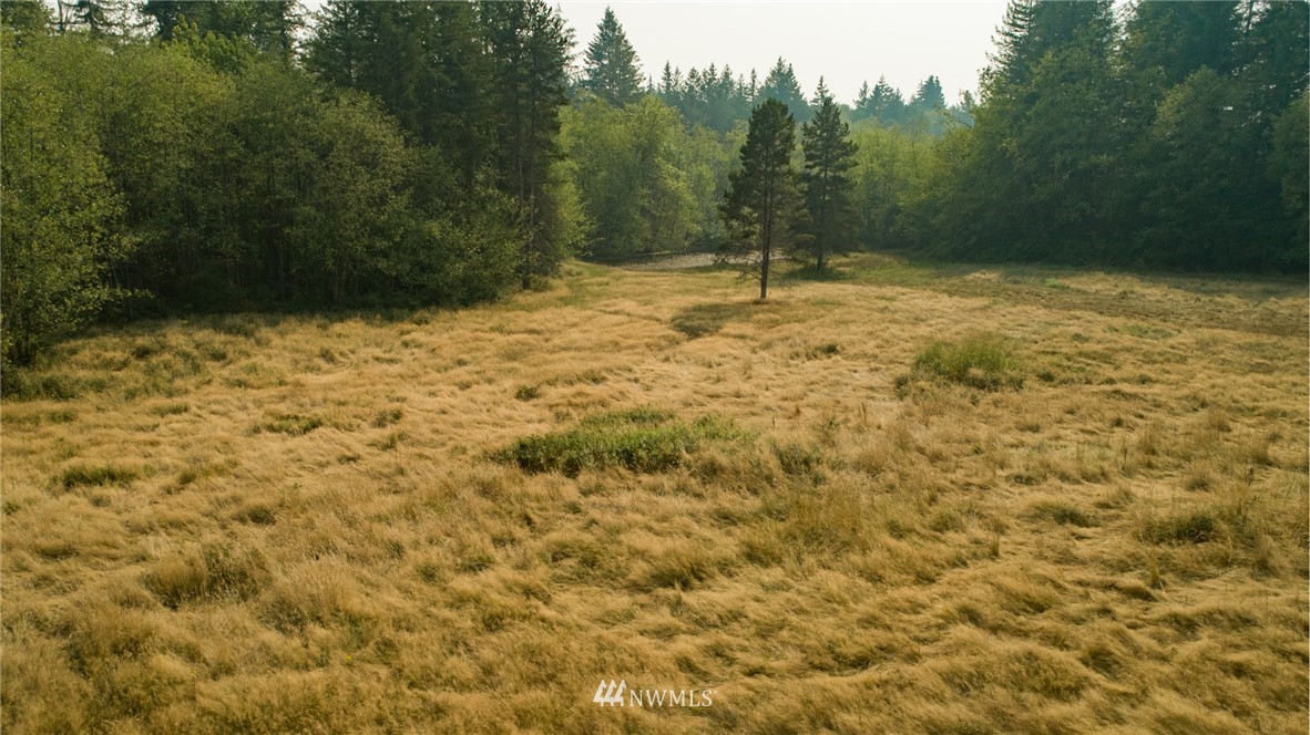 434 Dluhosh Road Onalaska, WA 98570 - Photo 25 of 25 Gallery Image 25
