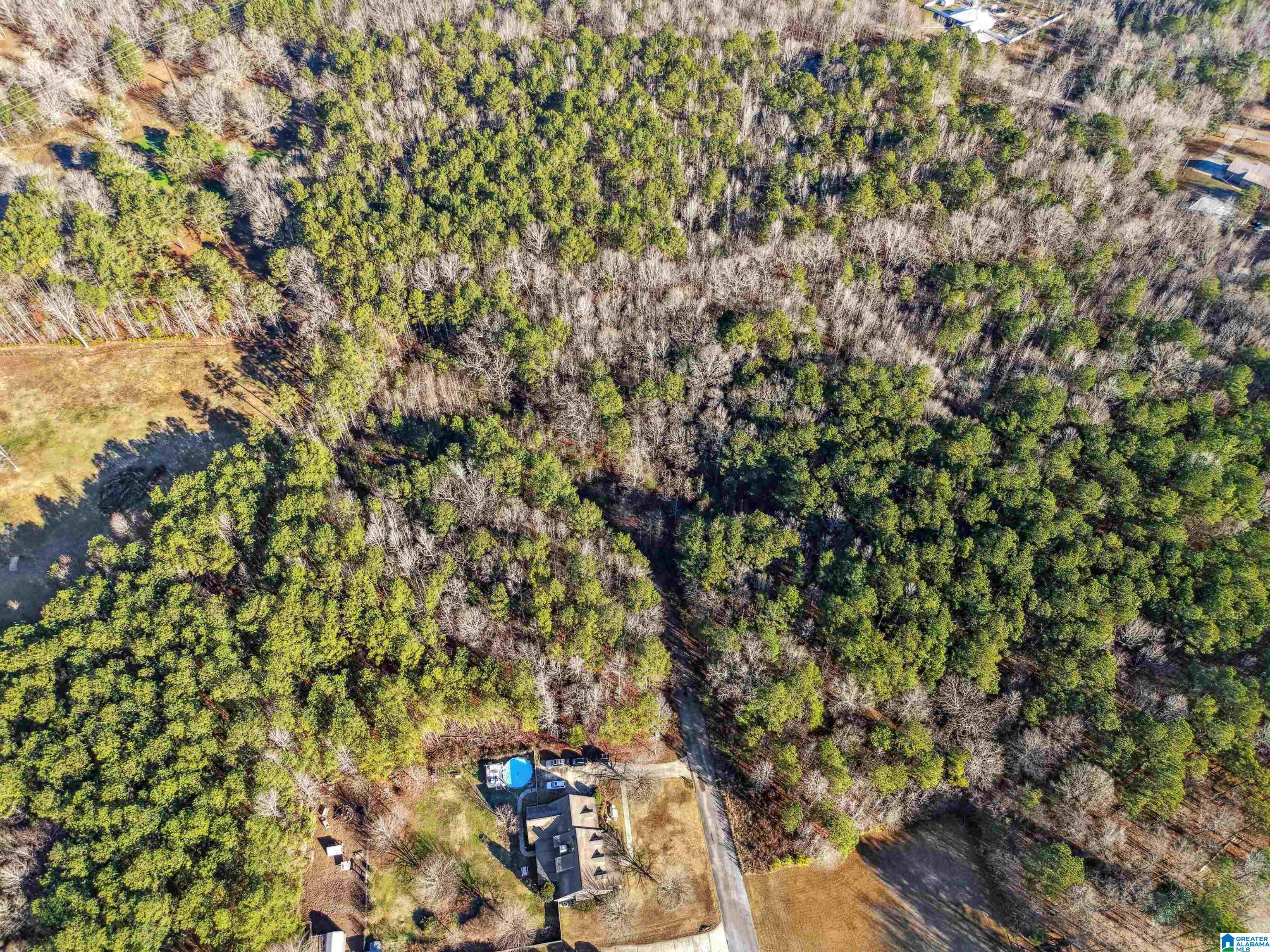 0 Branch Cove, Unit PHASE 2 Odenville, AL 35120 - Photo 21 of 32
