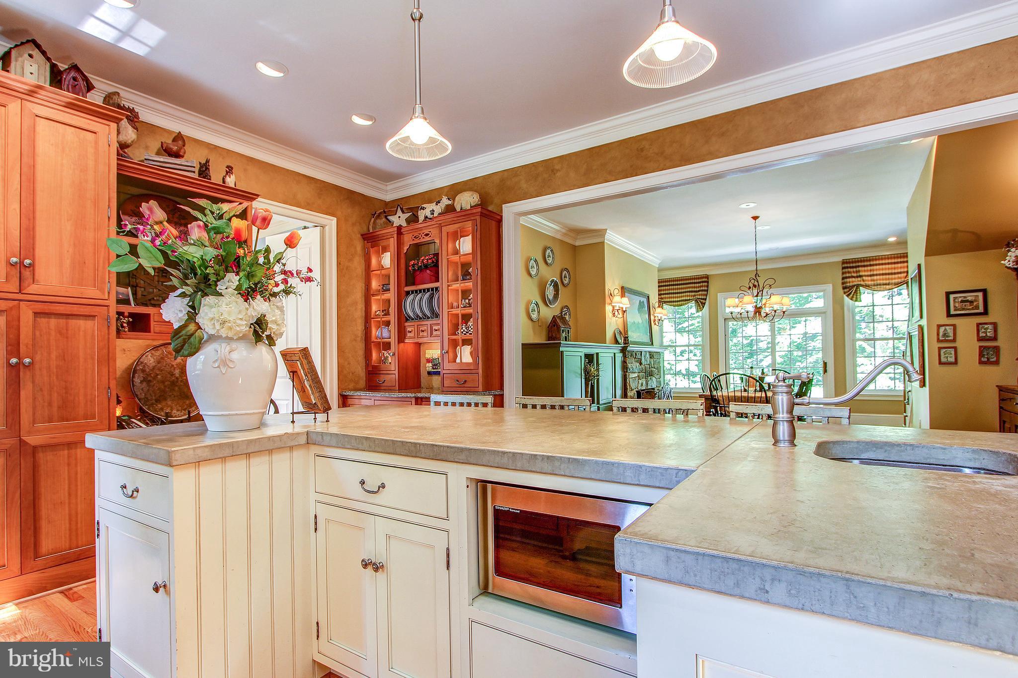 11217 River View Drive Potomac, MD 20854 - Photo 15 of 40 Kitchen