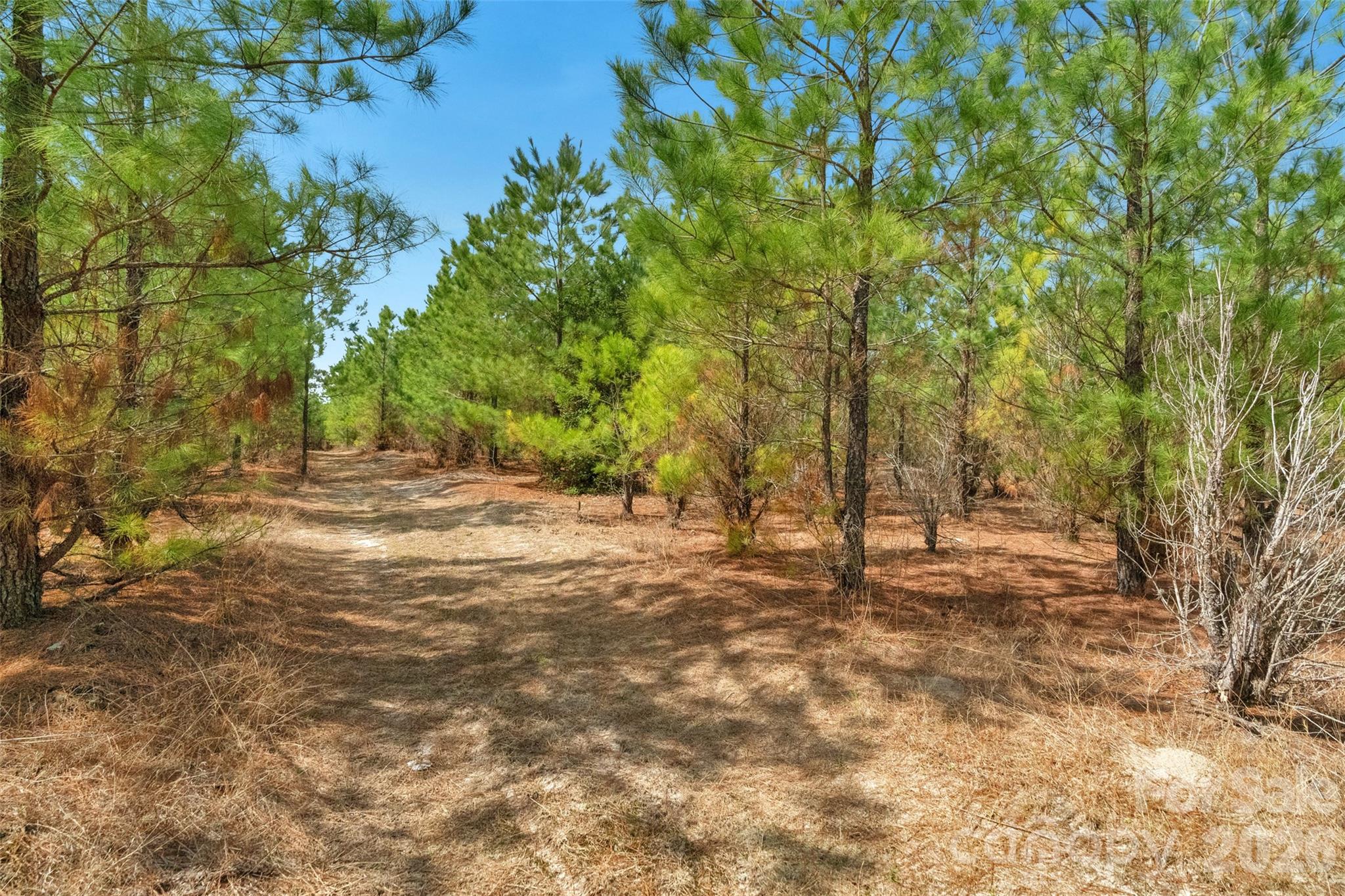 931 Charlie Johnson Road, Unit 2 Kershaw, SC 29067 - Photo 26 of 35