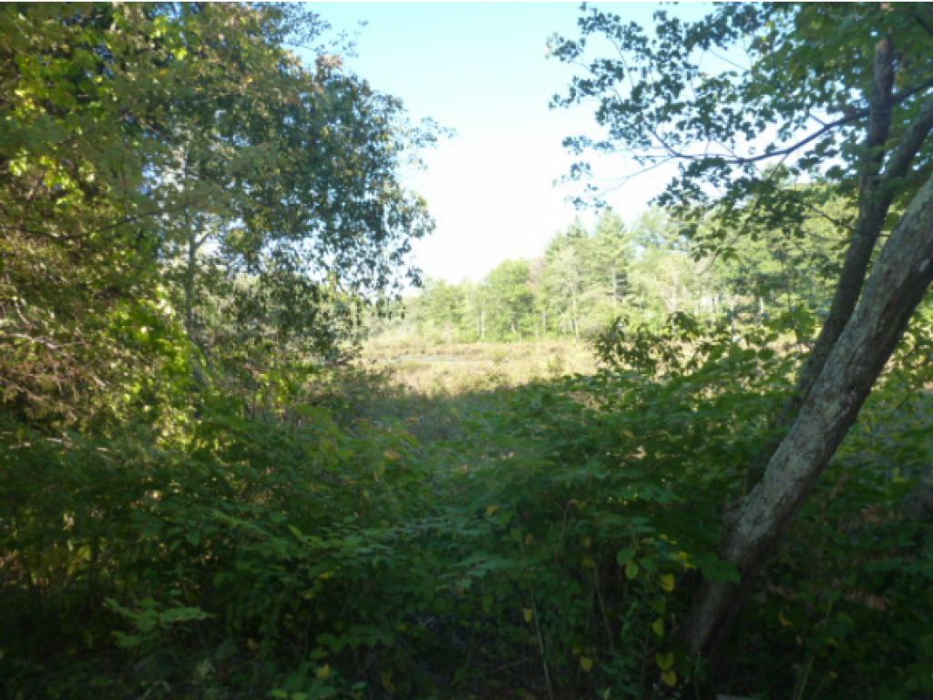 166 Island Pond Road Derry, NH 03038 - Photo 6 of 34